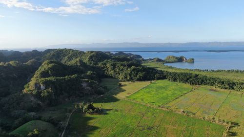 Free Stunning aerial landscape of green fields and hills by a serene body of water. Stock Photo