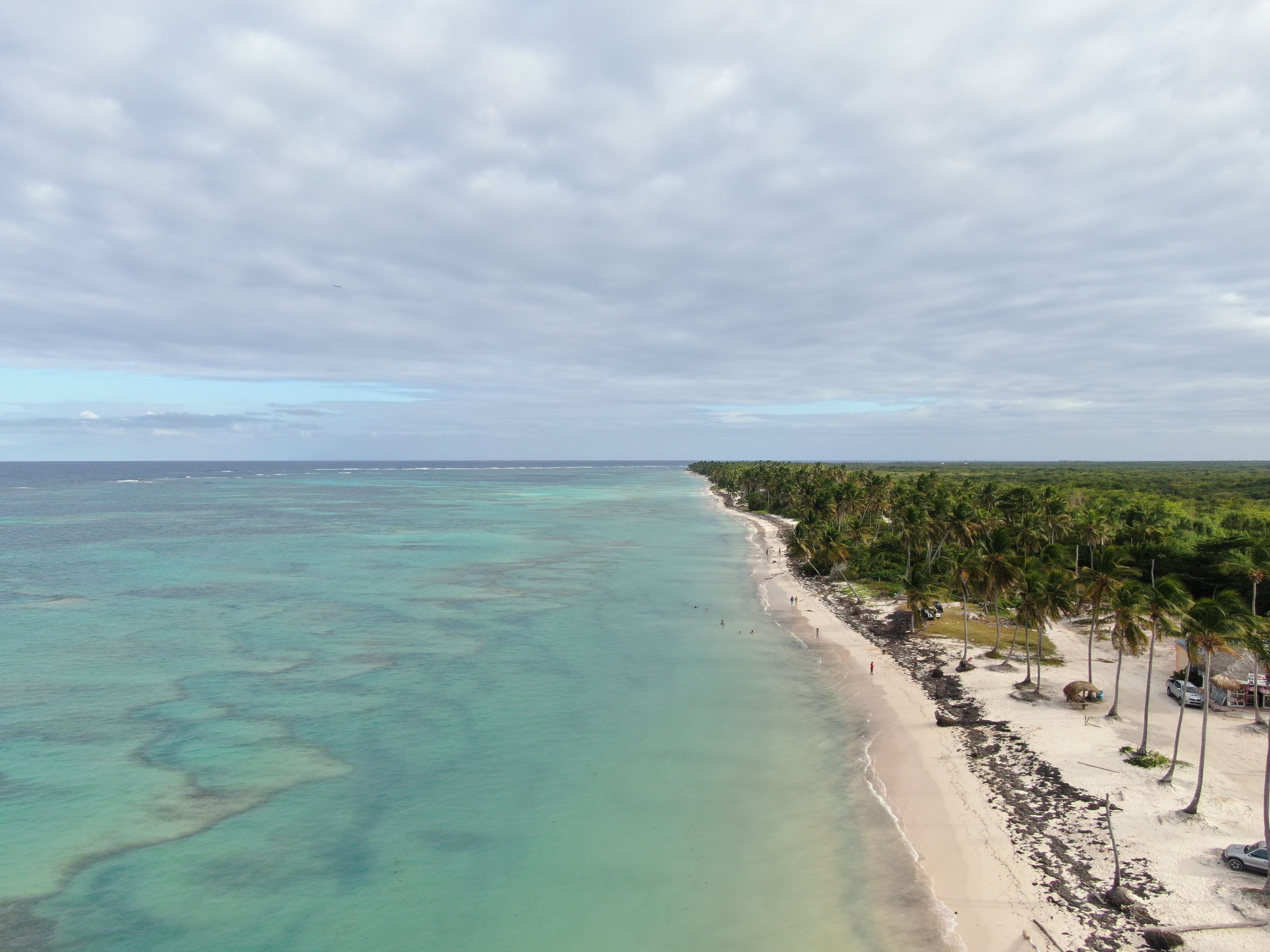 Aerial View of Tropical Beach with Palm Trees · Free Stock Photo