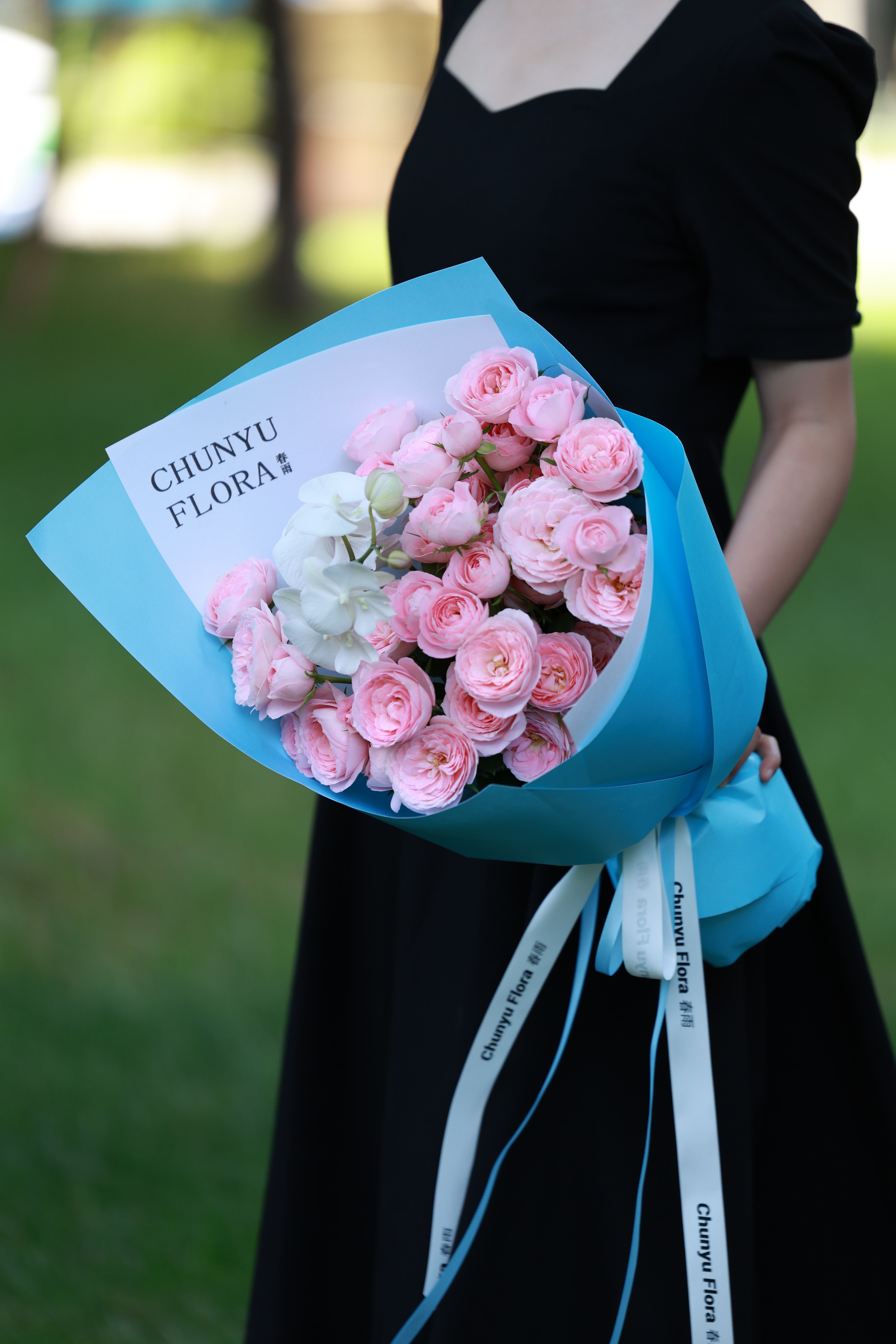 Elegant Bouquet of Pink Roses in Blue Wrapper  Free Stock Photo