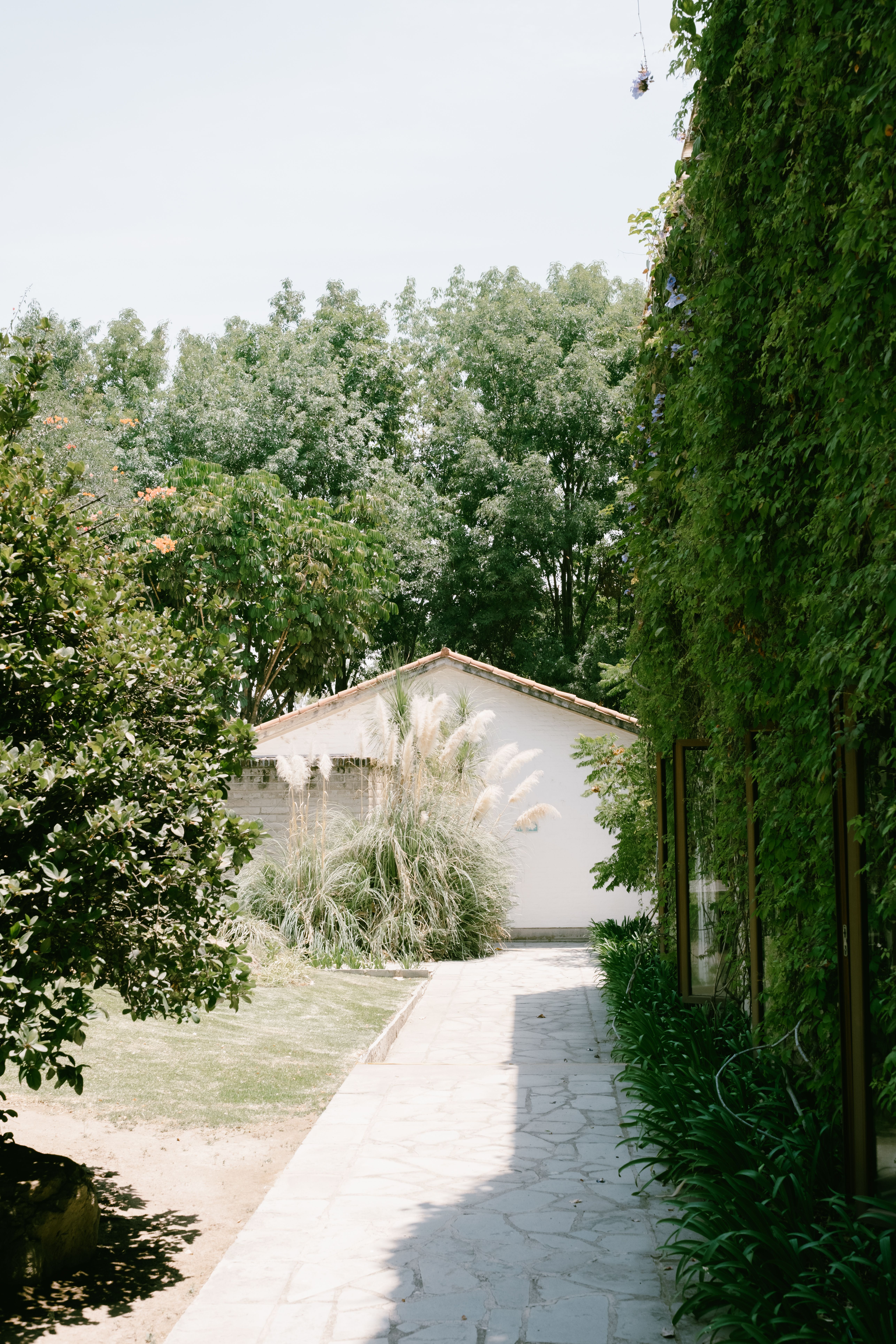 Tranquil Garden Path Leading to Cottage · Free Stock Photo