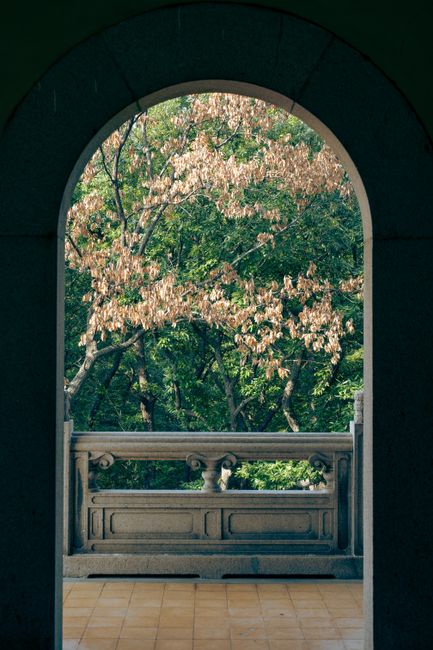 Serene view of autumn trees through an arched window in Linggu Temple, Nanjing, China.