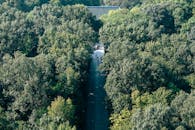 Aerial View of Forest Path Leading to Linggu Temple