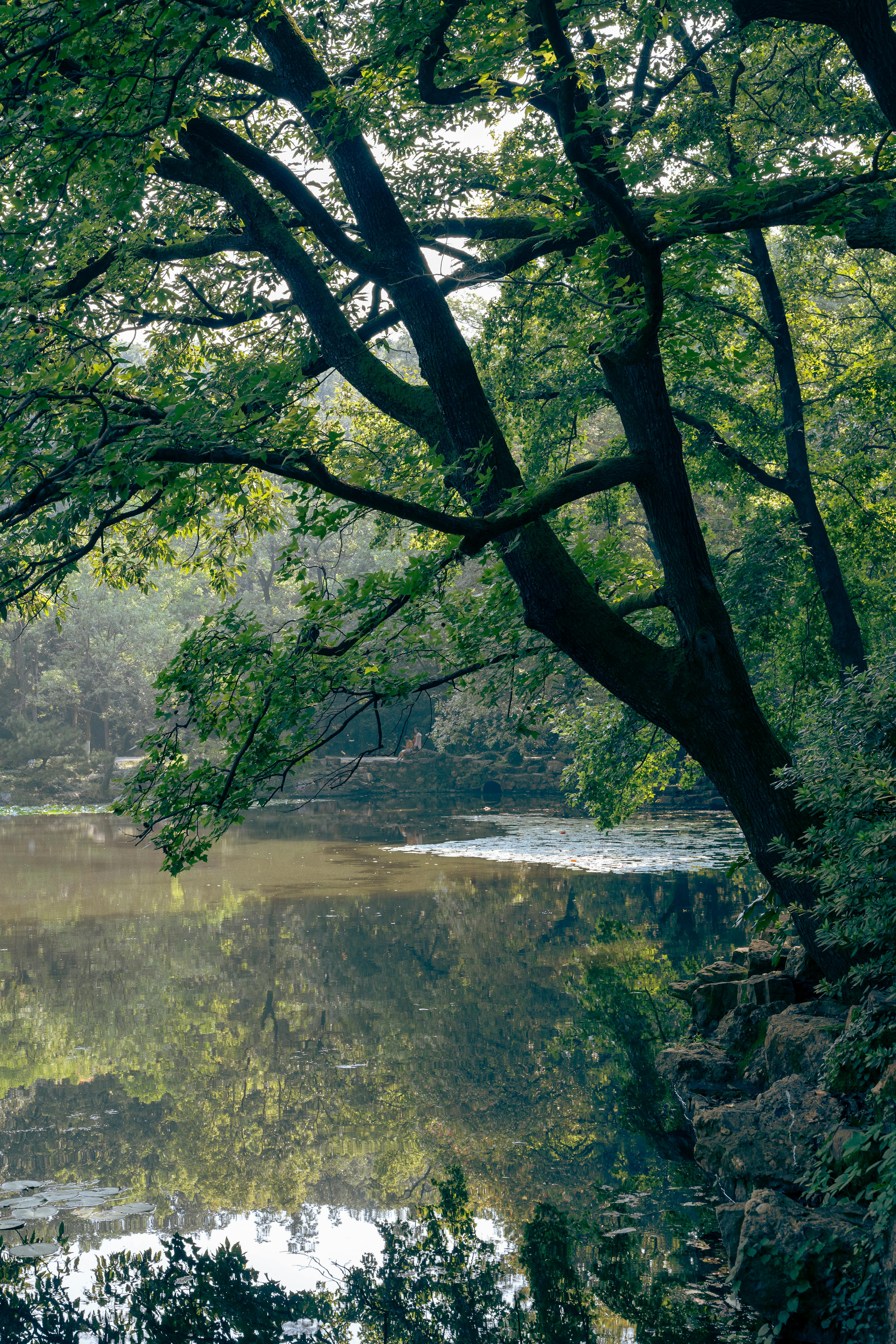 台大哲宇推動 OKR 實踐環保綠生活 助力永續未來