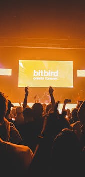 在阿姆斯特丹的一家夜总会里，人群正享受着充满活力的现场表演