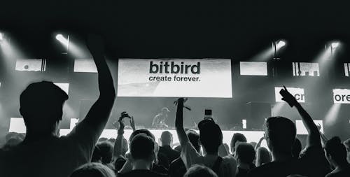 Grayscale Photography of Crowd of People Watching a Band Perform on Stage