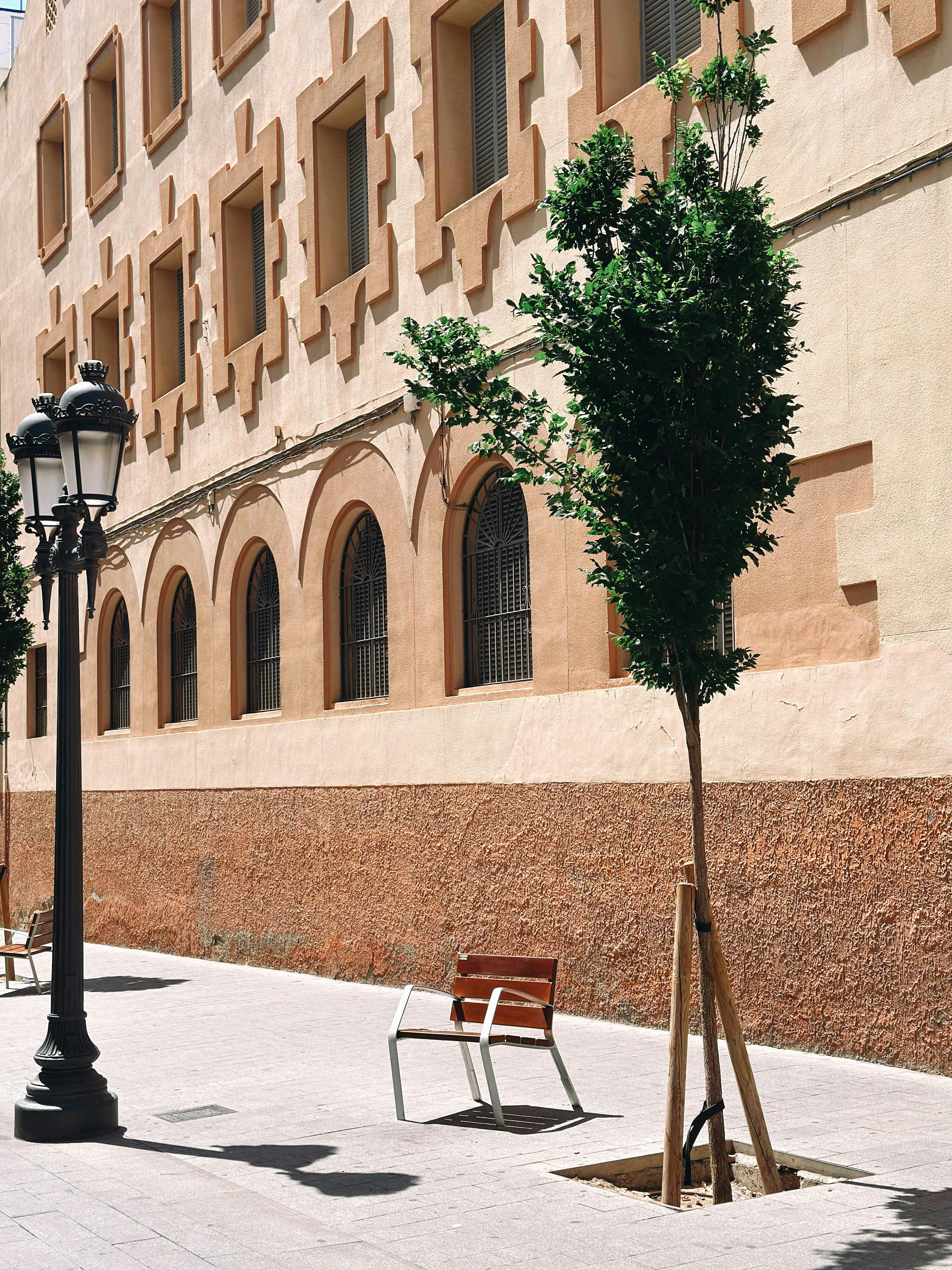 Quiet street with a vintage lamppost beside a young tree and bench against an elegant building facade.