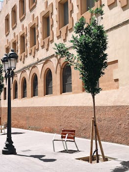 Quiet street with a vintage lamppost beside a young tree and bench against an elegant building facade.