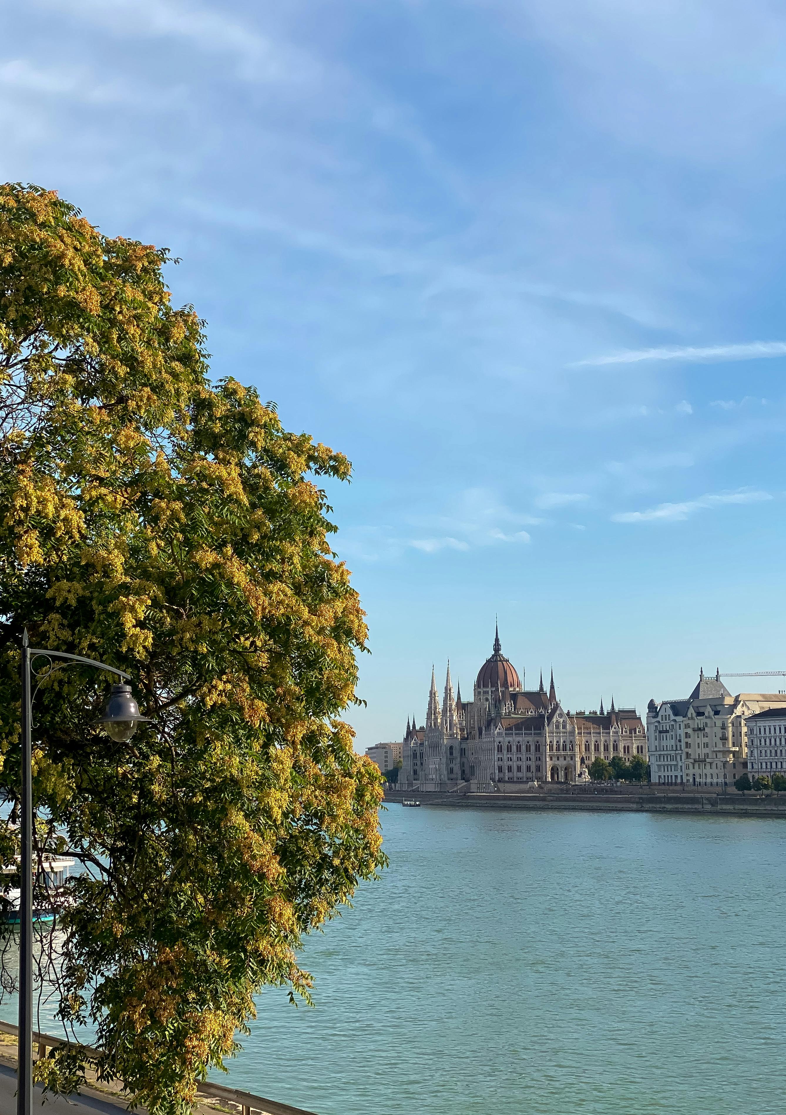 Gratuit Vedere a clădirii Parlamentului Ungar și a fluviului Dunărea din Budapesta într-o zi însorită. Fotografie de stoc