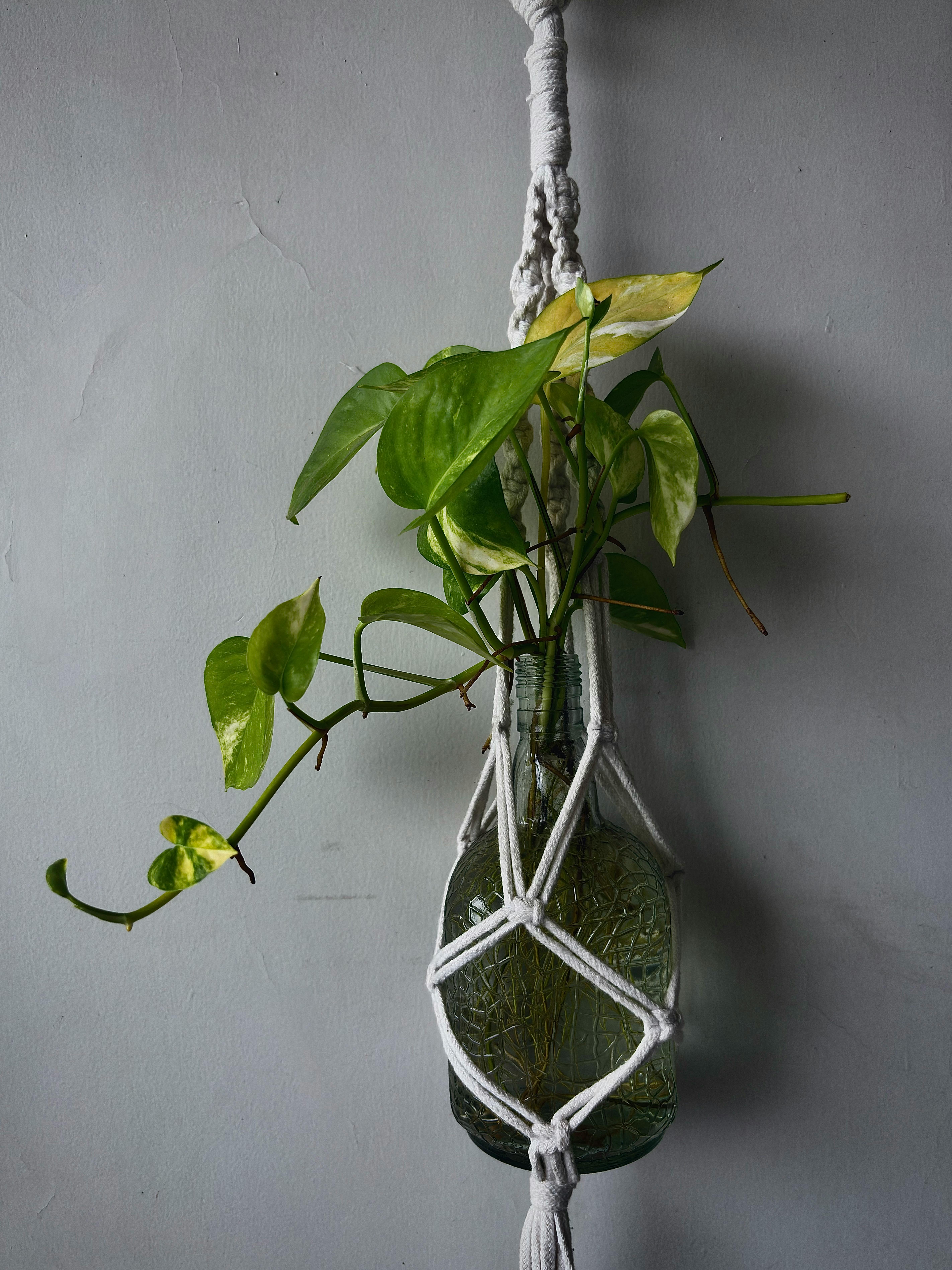 The 9 Best Macrame Plant Hanger Pattern 2026: Review & Comparison