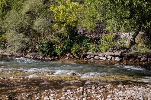 Free Peaceful river flowing through lush greenery in Tunceli, Türkiye, showcasing natural beauty. Stock Photo