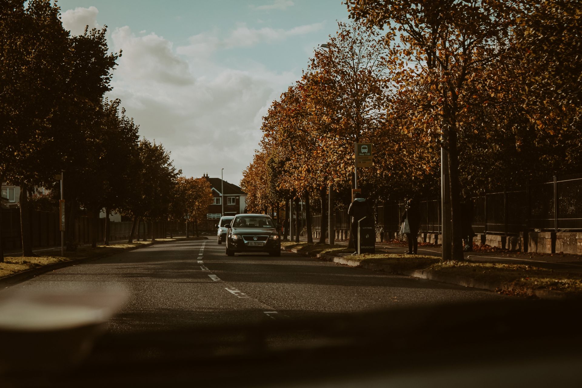 A serene autumn street in Ireland featuring cars and tree-lined sidewalks.