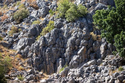Free A detailed view of rocky terrain with sparse vegetation in Tunceli, Türkiye, showcasing natural beauty. Stock Photo