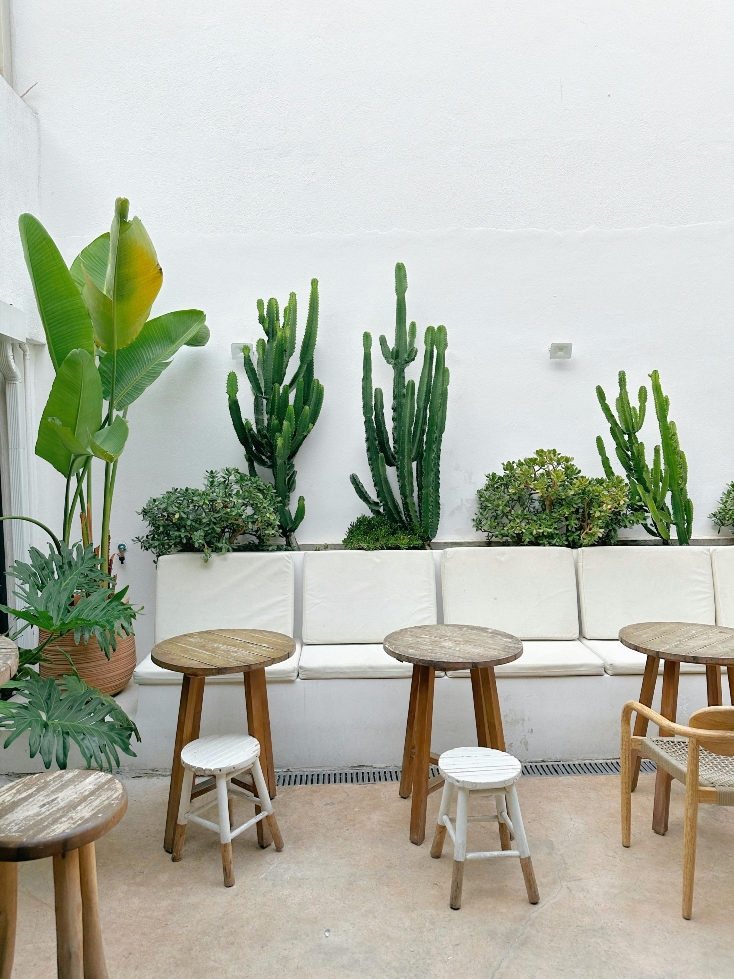 Stylish patio seating with wooden tables and desert plants creating a relaxing outdoor vibe.