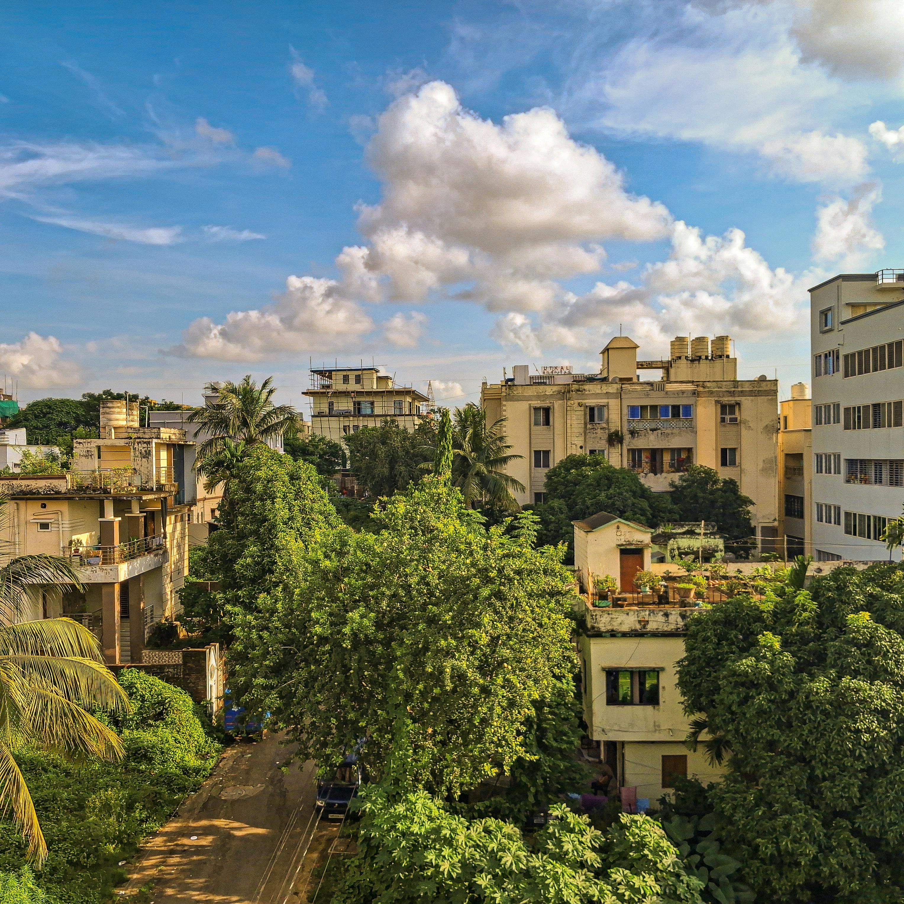 Odisha Heritage & Wildlife Tour 4 Days