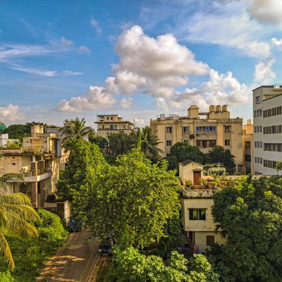 Climate Change Adaptation: What Cities Need Now