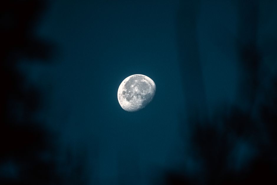 Living By The Moon - 12 Month Lunar Workbook