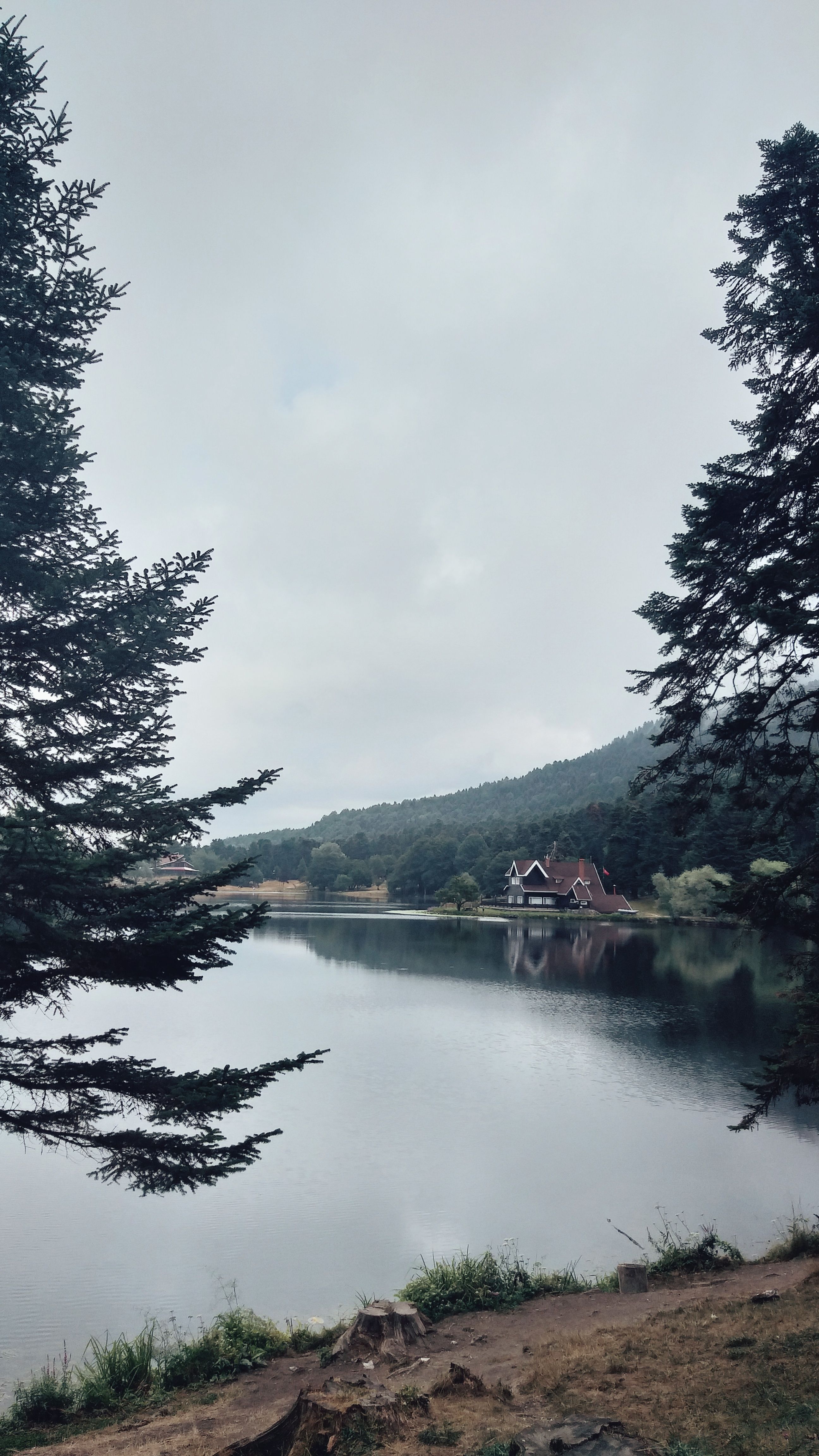 Charming lakehouse surrounded by lush trees by a serene lake in Gölcük Köy, Bolu, Türkiye.
