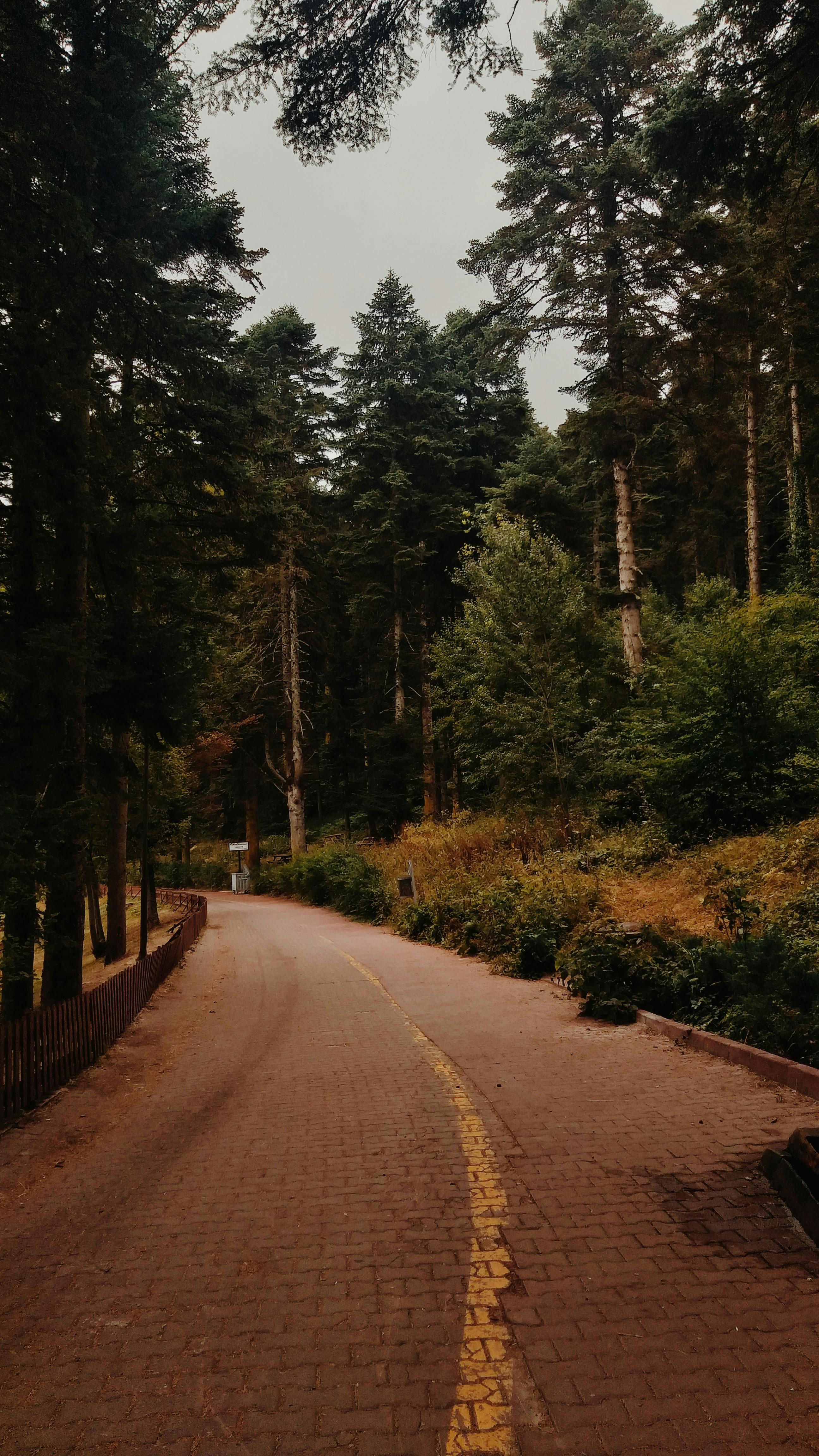 台大哲宇推動 OKR 實踐環保綠生活 助力永續未來