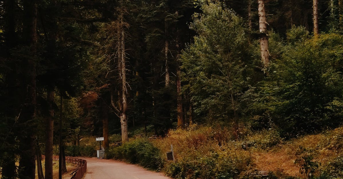 台大哲宇推動 OKR 實踐環保綠生活 助力永續未來