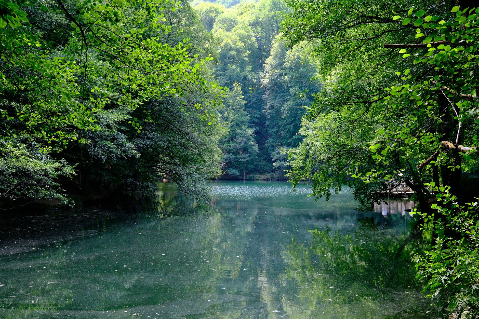 Calm person meditating forest — Curiosidades