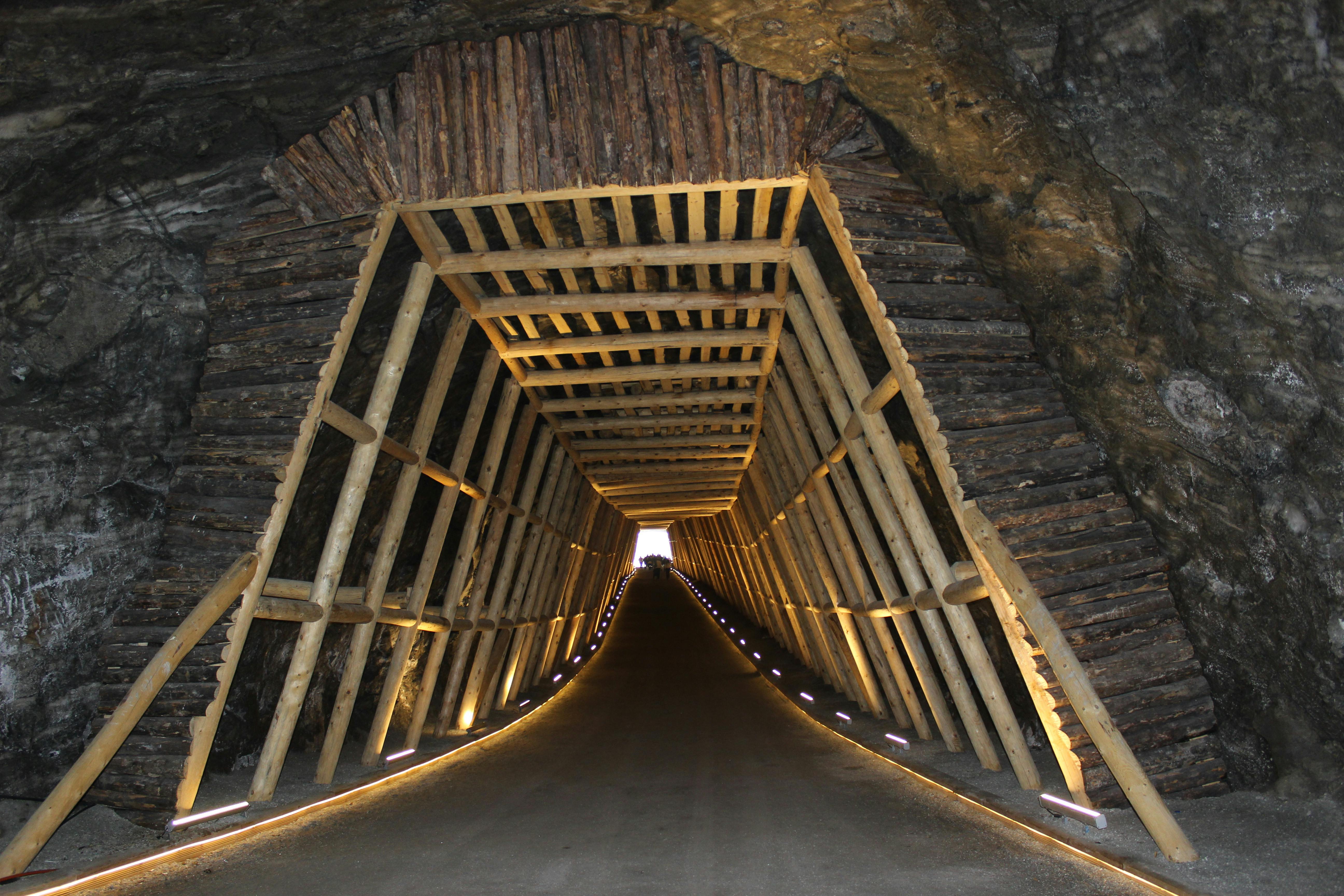 Navigating Volatility: A Deeper Look at Canada's Top Mining Performers