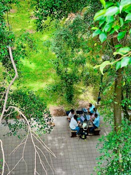 Ariel view of a business team working outdoors in a lush green park setting.