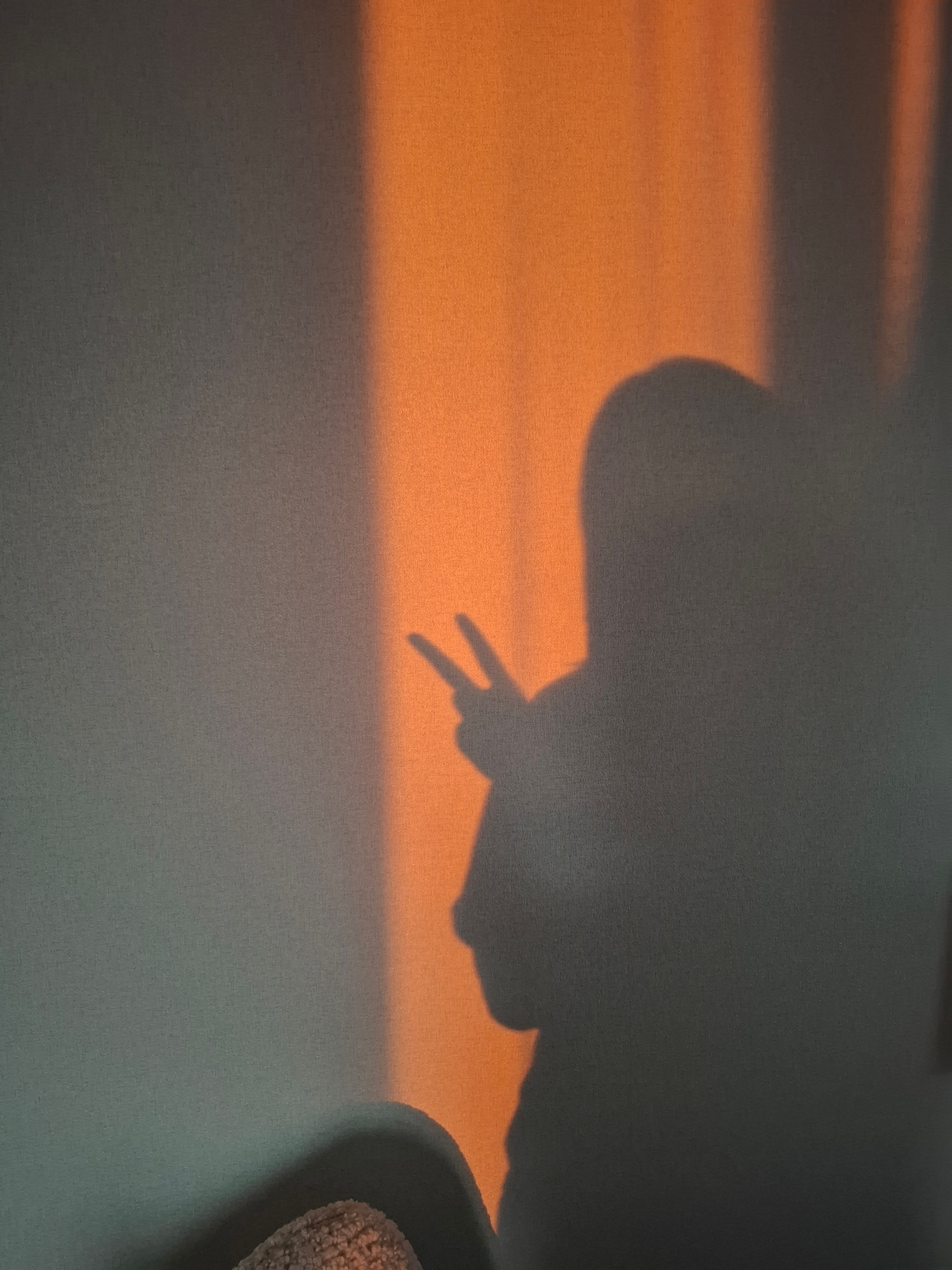 Silhouette of Person in Peace Pose with Shadow · Free Stock Photo