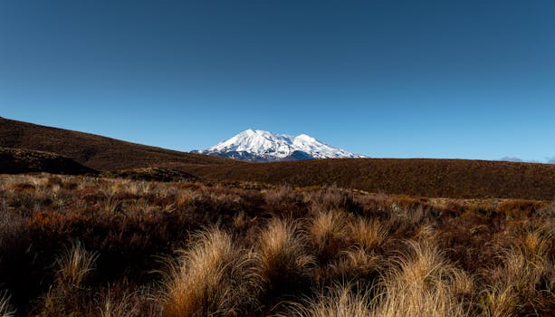 A stunning view of a snow-capped mountain and rugged terrain in New Zealand.