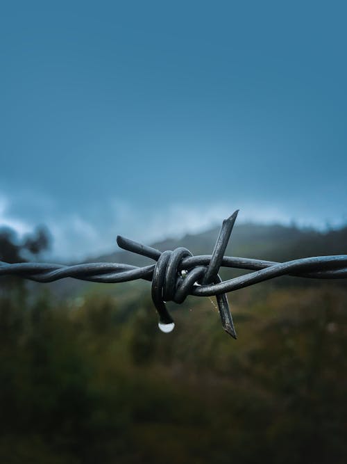 Shallow Focus Photography of Barbed Wire