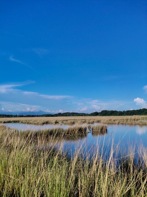 Free Peaceful wetlands in Silchar, Assam, India, showcasing natural beauty under a vivid sky. Stock Photo