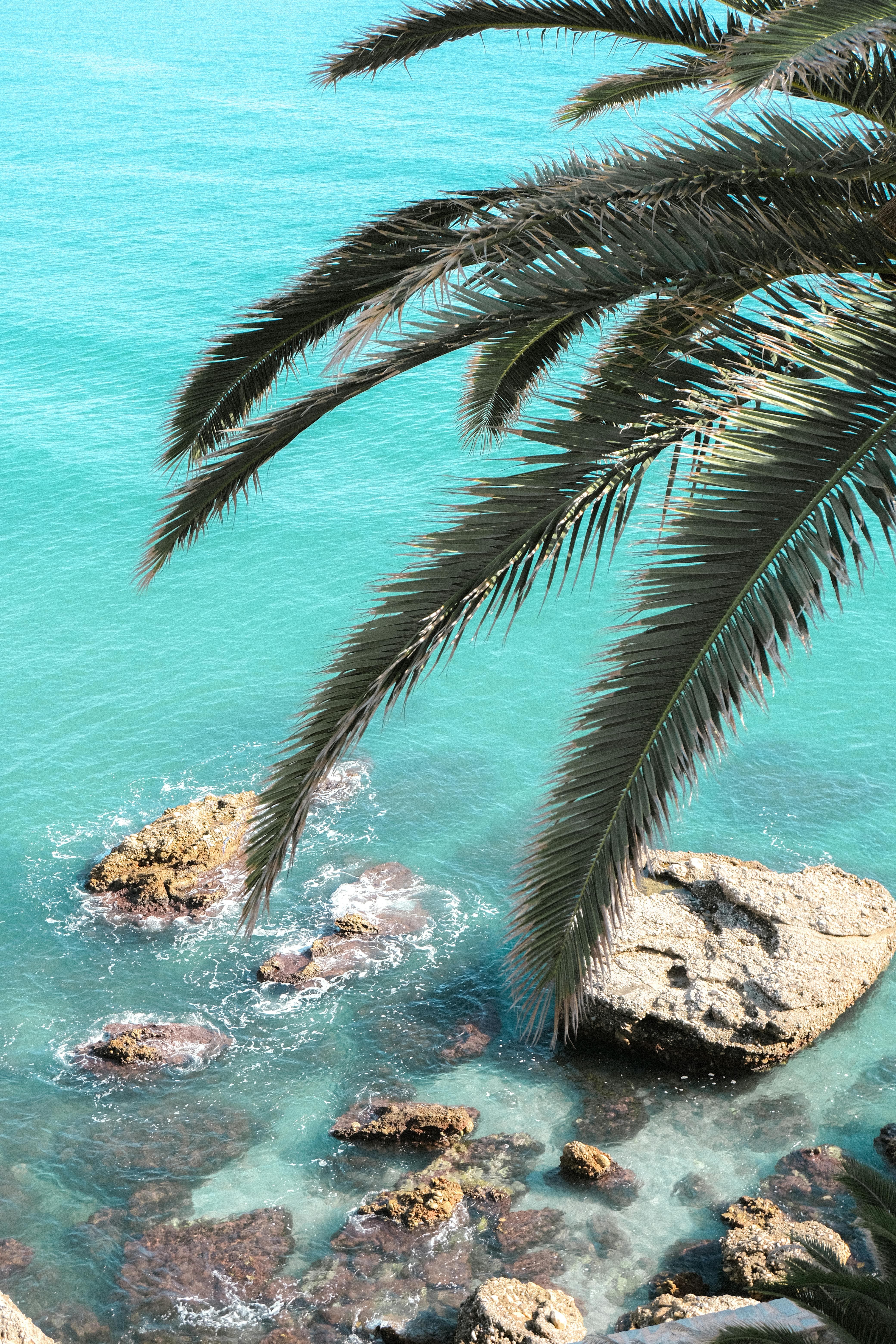 Beautiful coastal view from Nerja, Andalusia, with turquoise waters and palm leaves.