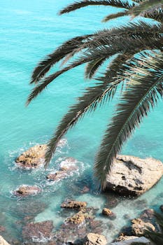 Beautiful coastal view from Nerja, Andalusia, with turquoise waters and palm leaves.