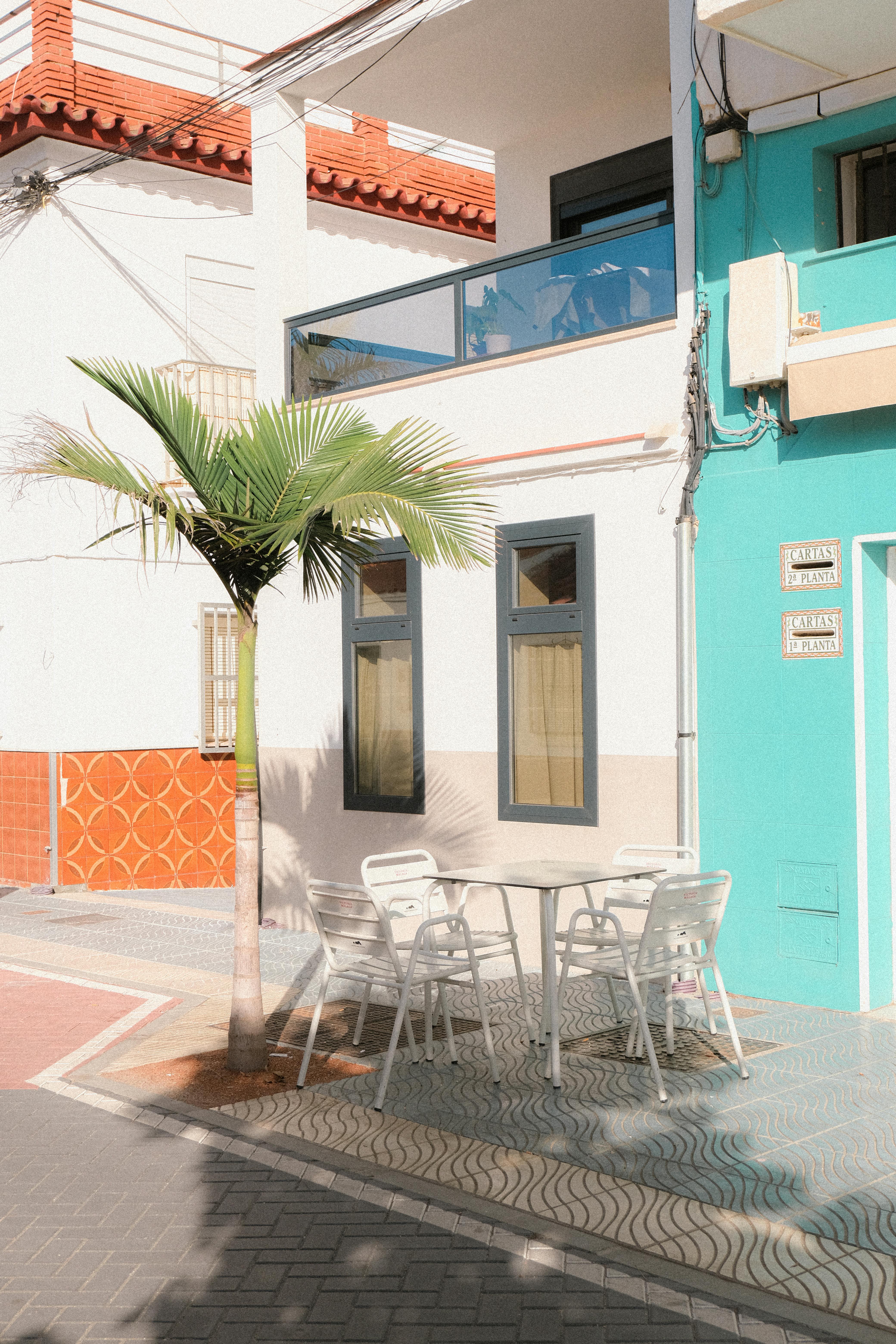 Cozy outdoor café with palm tree in picturesque Lagos, Andalucia, Spain.