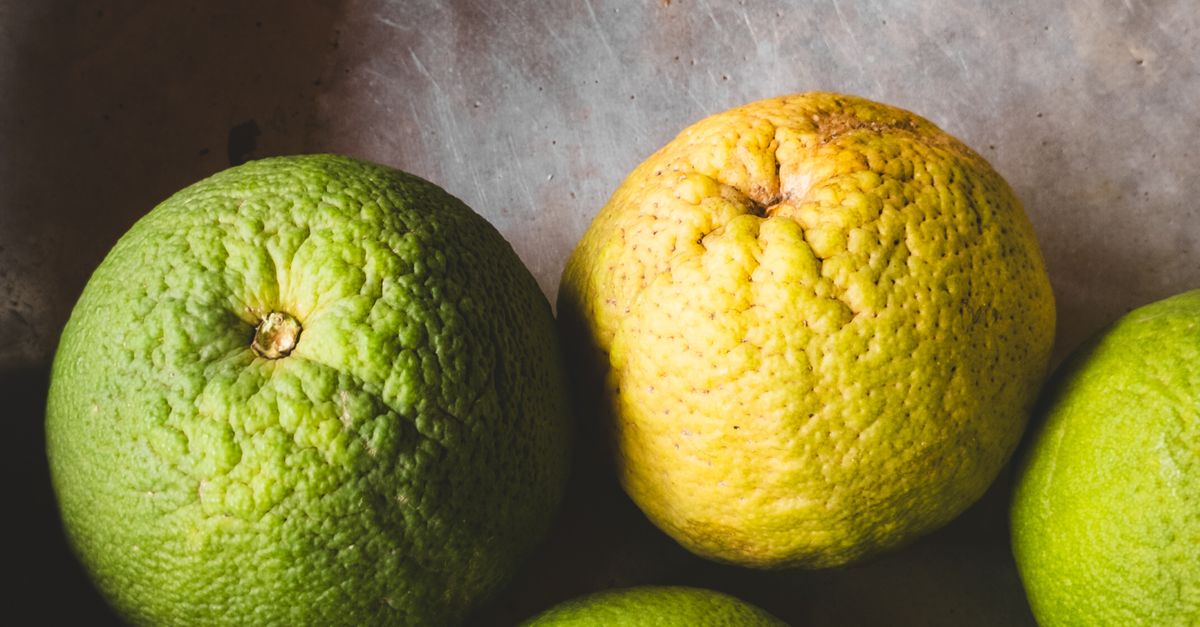 Fresh Green and Yellow Limes Arrangement · Free Stock Photo
