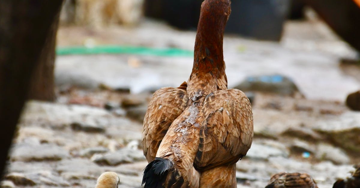2025臺灣科學節精采登場 植物 動物還有真菌 自然影展不容錯過
