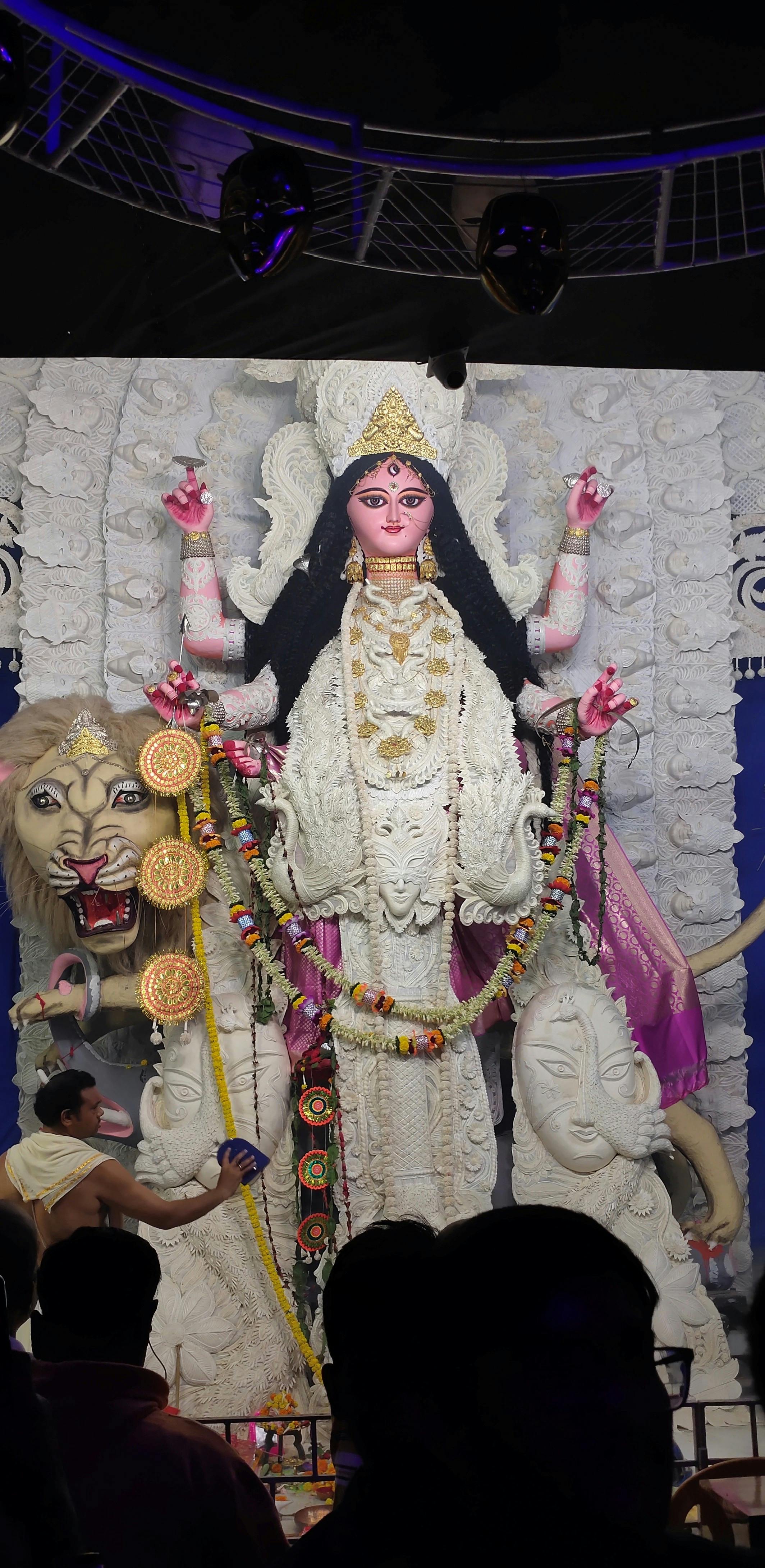 Theme for Boro Taldanga Sarbojanin Jagaddhatri puja