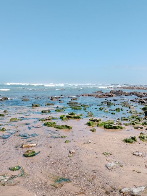 Free Explore the serene rocky beachscape at Casablanca's shoreline under a clear blue sky. Stock Photo