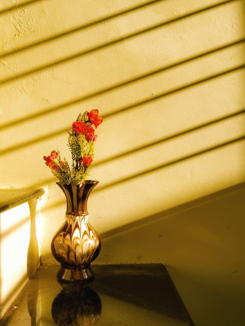 Free Artistic vase casting shadows with red flowers, capturing an elegant still life aesthetic. Stock Photo