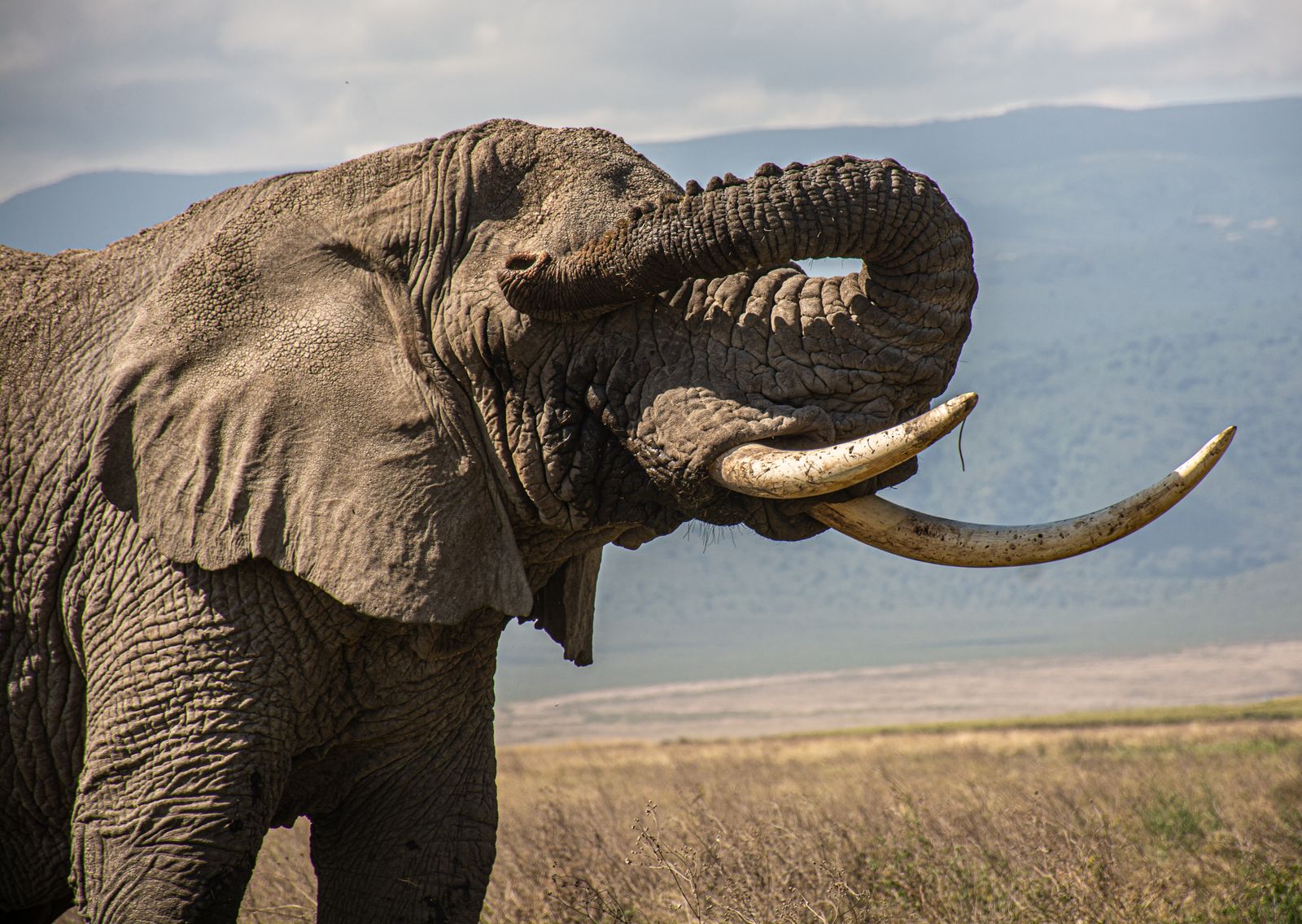 Ngorongoro Crater