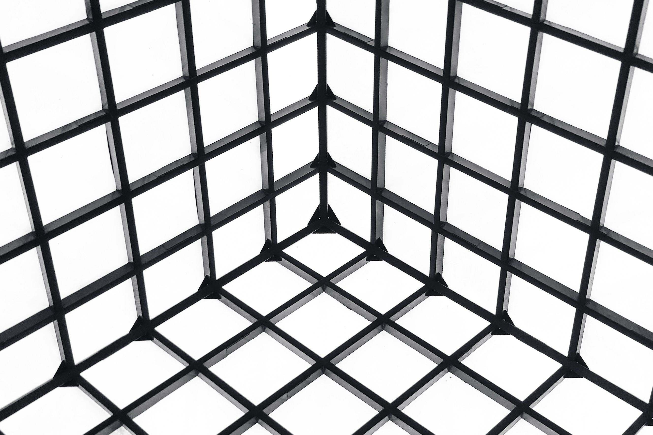 Black grid design creating geometric patterns with strong lines and angles.