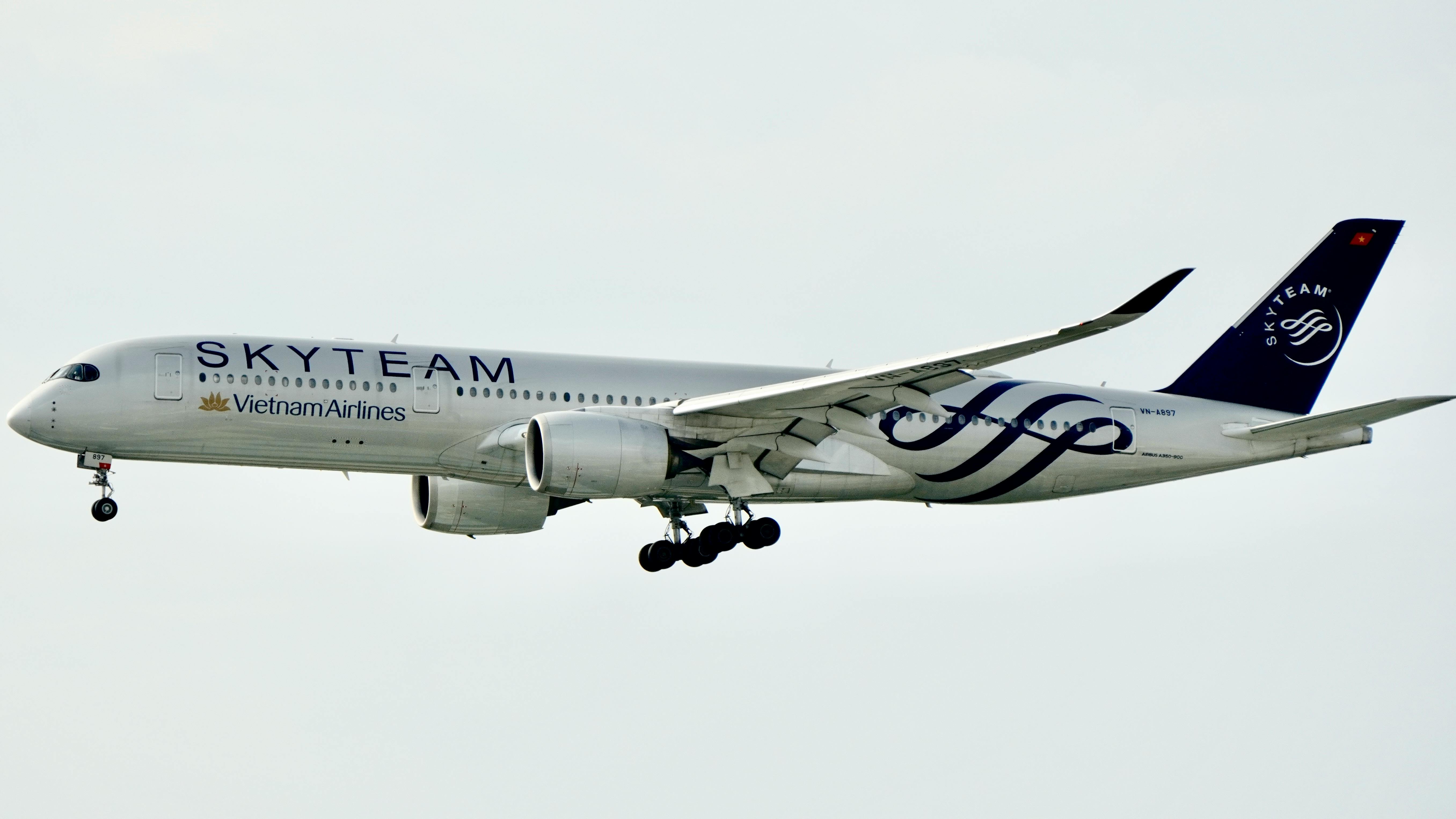 Malaysia Airlines, Tourism New Zealand Launch Joint Travel Push For New Zealand — Photo by Tuan Vy  Spotter on Pexels