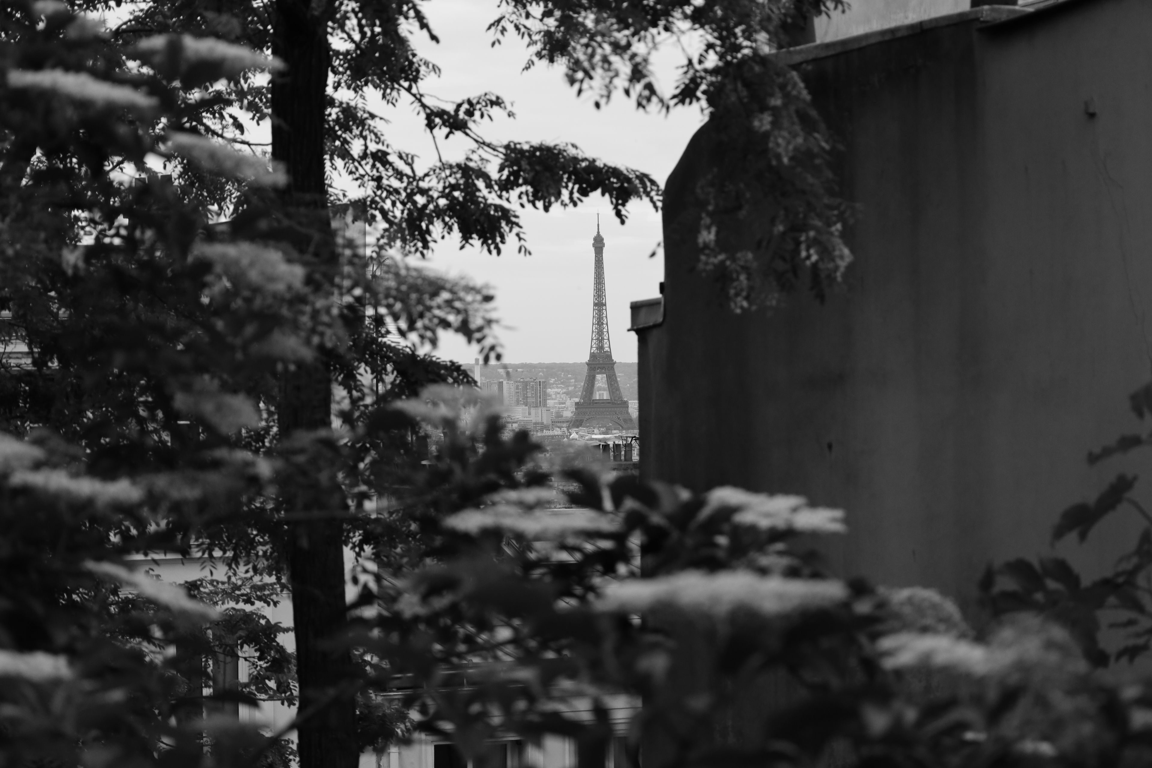 Direct Eiffel Tower view from an Eiffel View Room at Shangri-La Paris in the 16th arrondissement