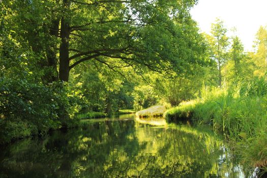 Lübben (Spreewald)