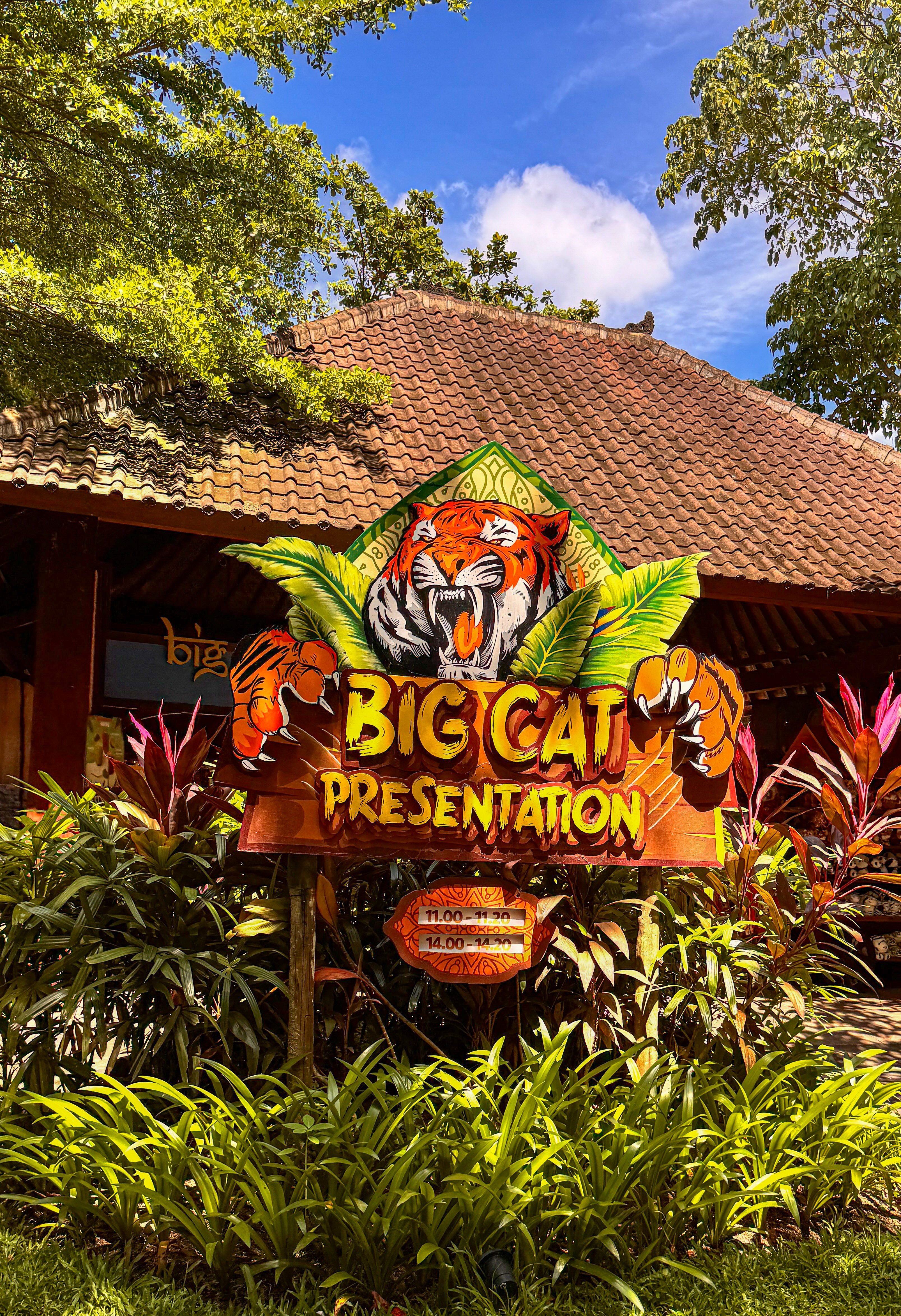 Big Cat Presentation Sign at Indonesian Zoo · Free Stock Photo