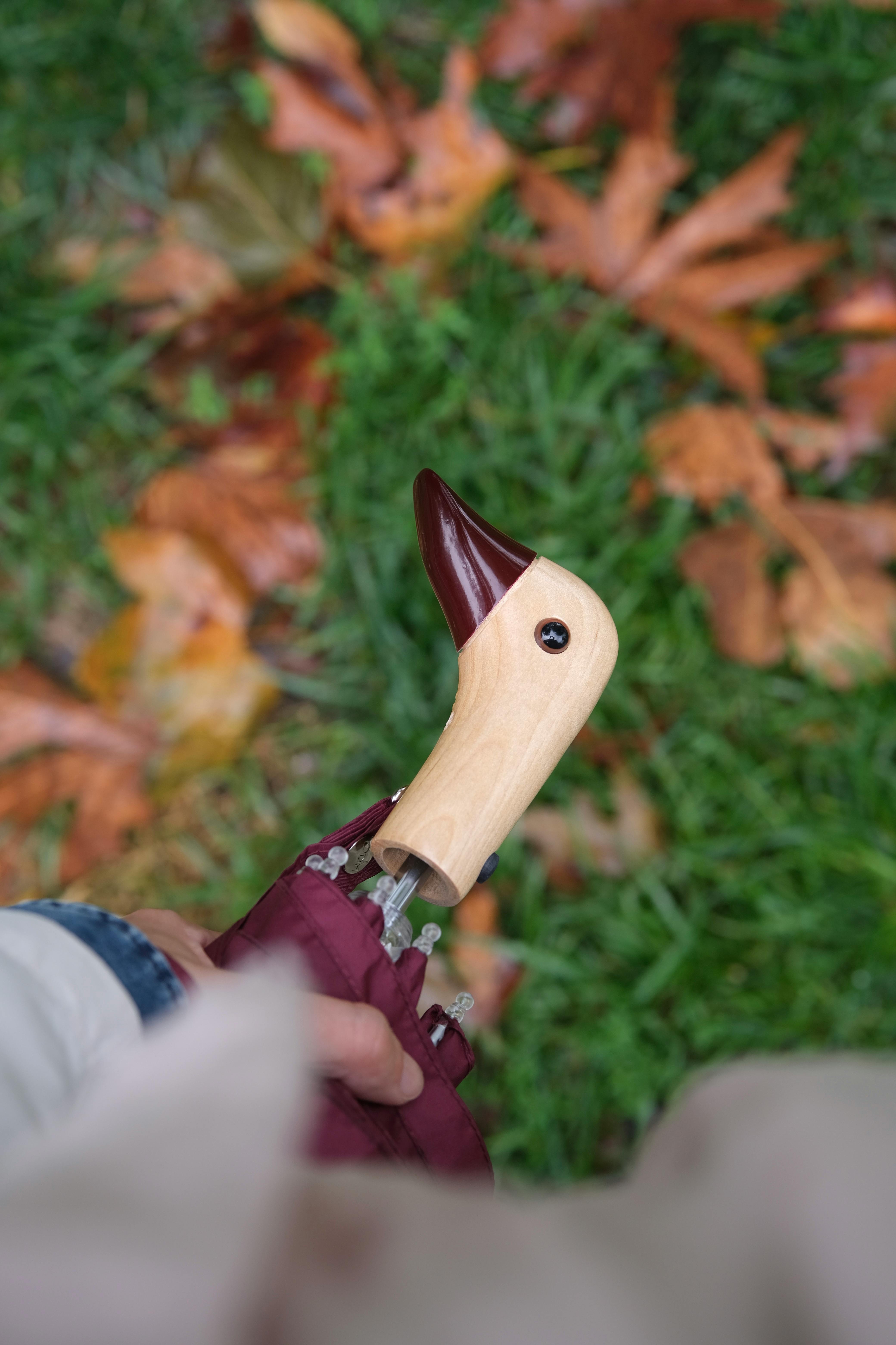 19縣市大雨特報 雨勢恐持續到今晚 出門記得帶傘