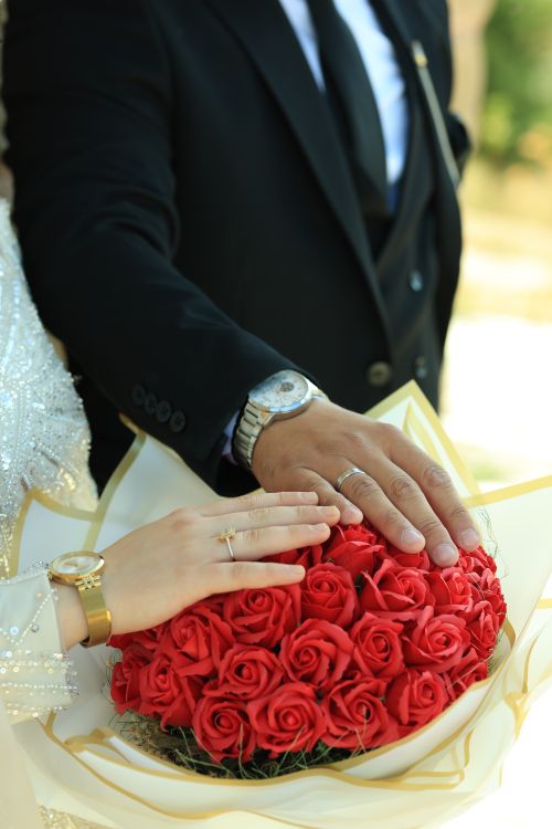 Free Close-up of bride and groom's hands in wedding attire showing rings over red roses. Stock Photo