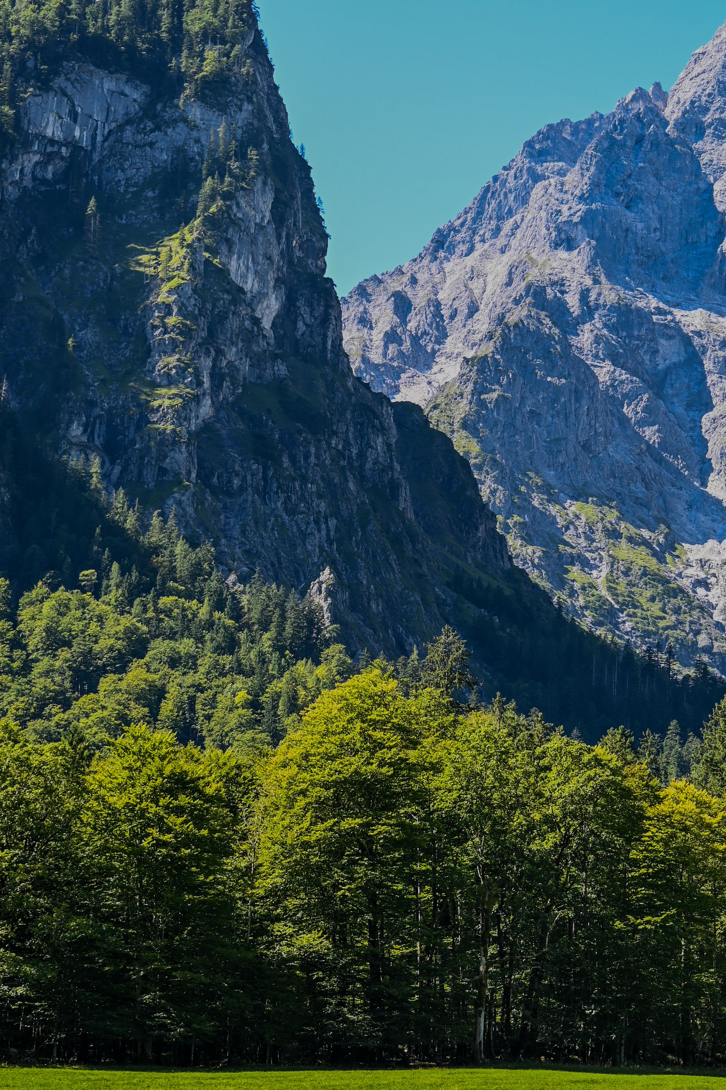 Stunning view of Watzmann mountains and lush forest in Schönau am Königssee, Germany.