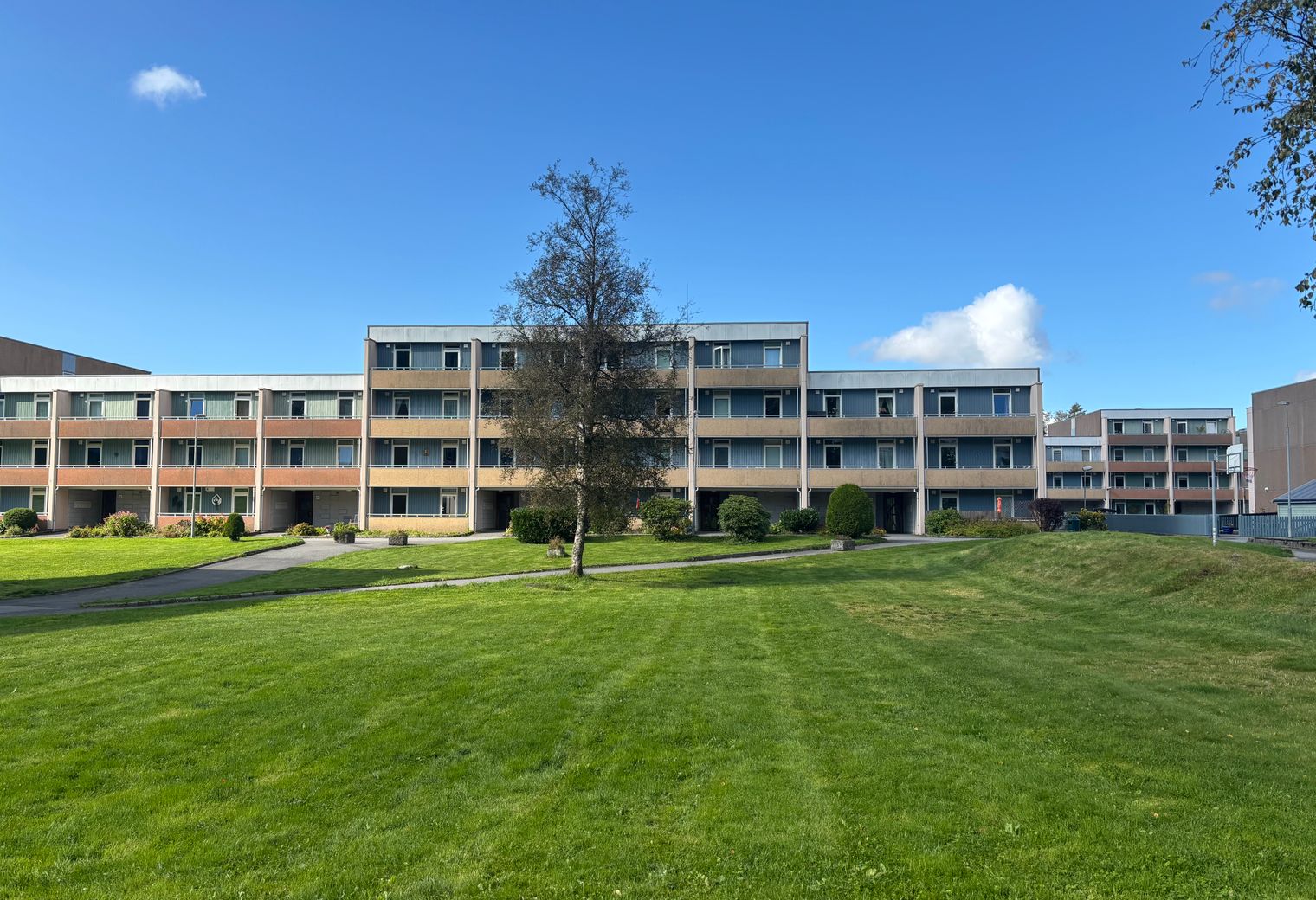 Southgate — student move with boxes and a van