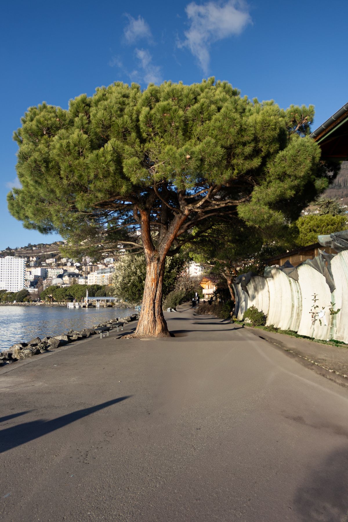 Promenade au bord du lac Léman à Montreux