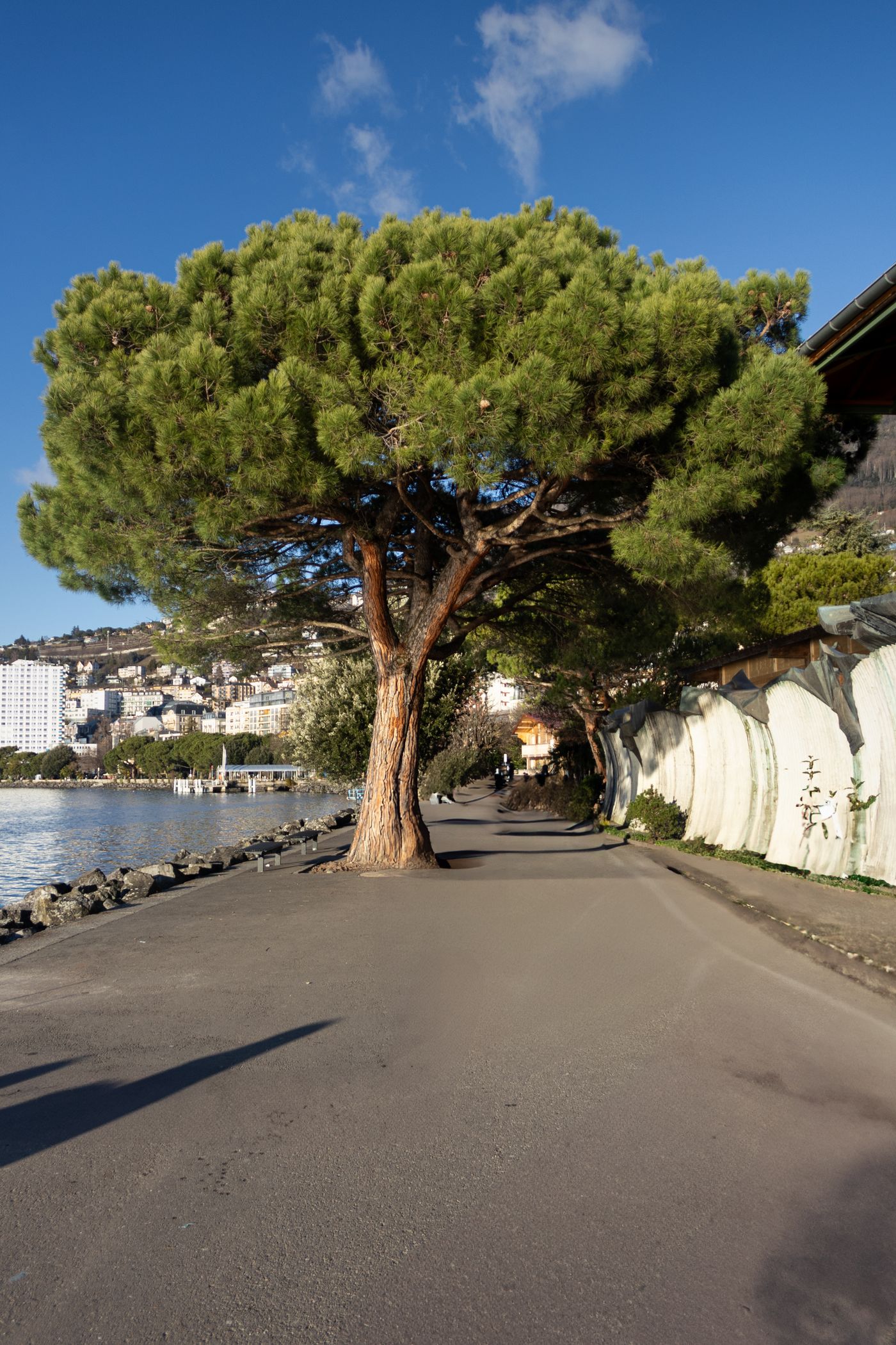 Promenade au bord du lac Léman à Montreux